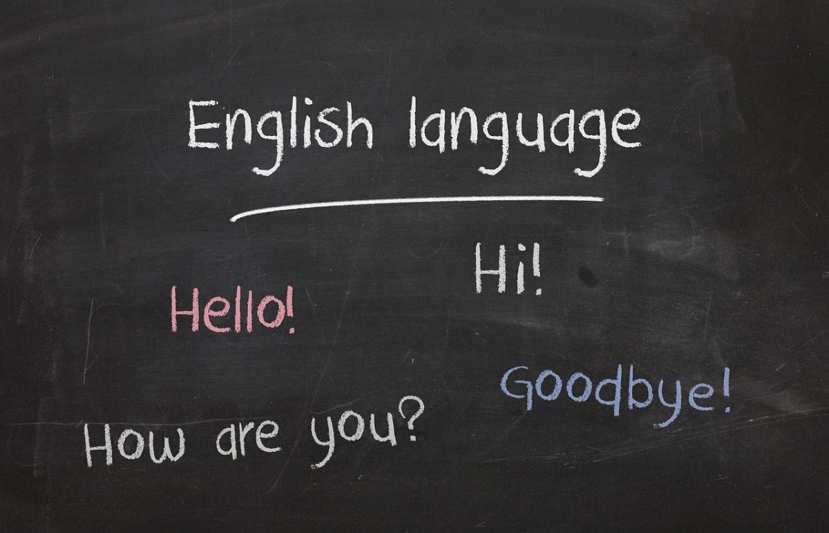 ELL programs help newcomers gain fluency in a new language