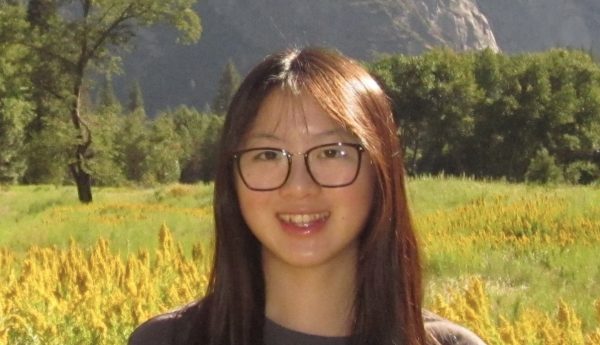 Vivian Lim